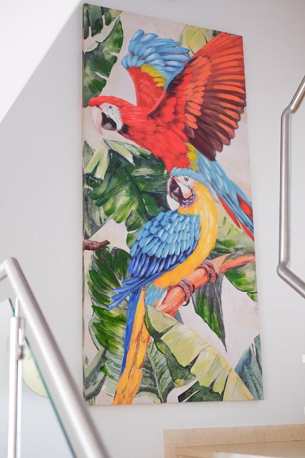 Amazing Views Casa Hummingbird Apartment Lagos Exterior photo